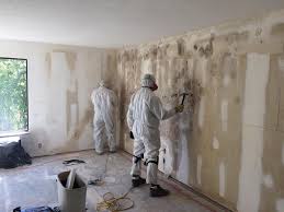 Best Basement Mold Removal  in Fivepointville, PA